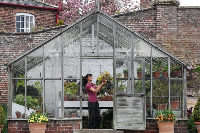 Head gardener Jan Lathan tends to the flowers.