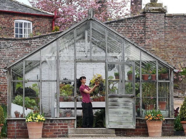 Head gardener Jan Lathan tends to the flowers.