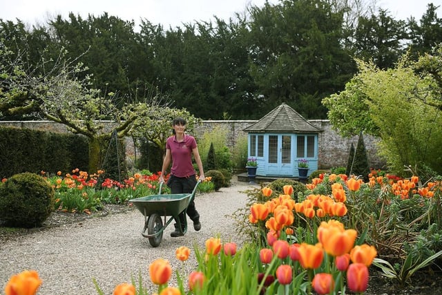 Head gardener Jan Lathan tends to the flowers at Sledmere House.