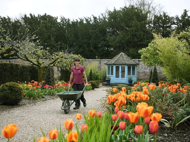 Head gardener Jan Lathan tends to the flowers at Sledmere House.