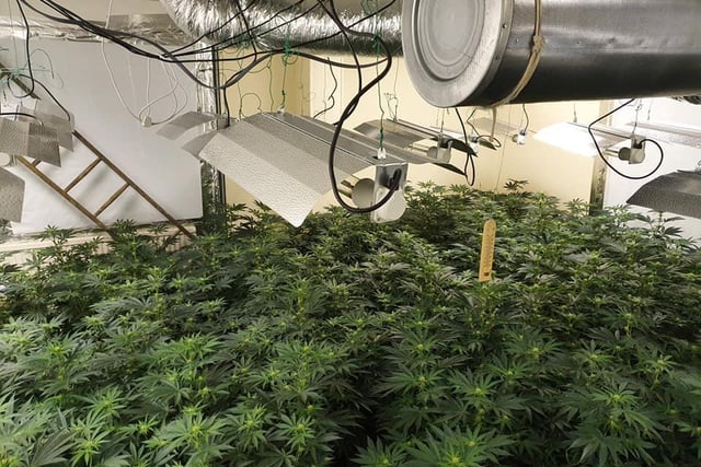 The policing team shared the pictures of hundreds of plants inside a Cleckheaton property on May 3