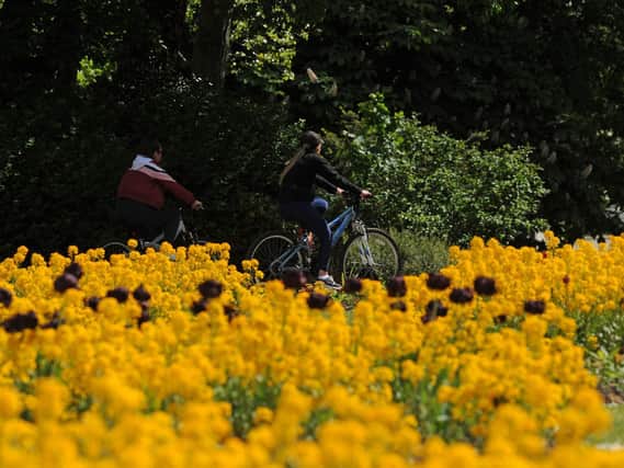 Cyclists in Stanley Park