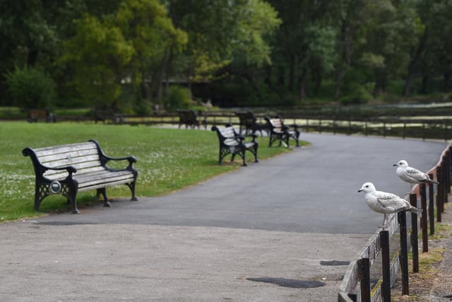 On Monday, with the lockdown still in full force, the benches at Stanley Park were empty - with just a couple of socially distancing seagulls watching on