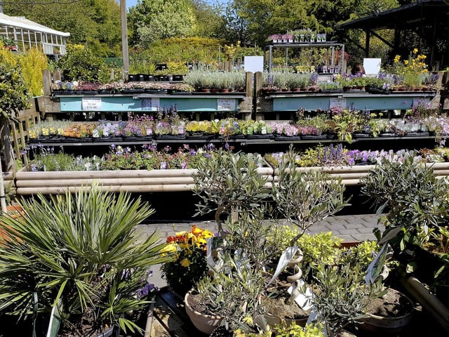Burniston Garden Centres