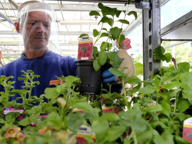 Richard Dalton working with added precautions at Burniston
