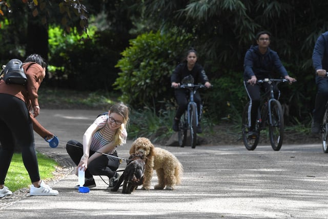 Cyclists and dog walkers headed to Avenham Park on the first weekend since the lockdown was eased slightly.