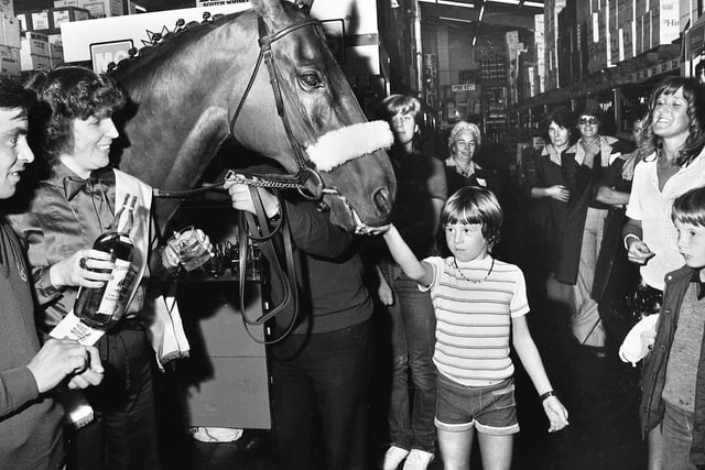 Three-times Grand National winner Red Rum helping to promote a whiskey at the M6 Cash and Carry depot at Haydock on Wednesday 6th of August 1980.