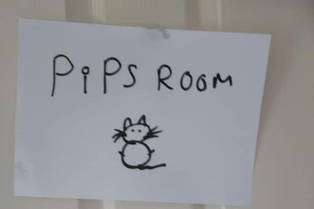 Poppy-Scarlett Lucas said: "My dad sent me this picture of my bedroom door (I've temporarily moved into a different household for shielding) so apparently its the cats room now."