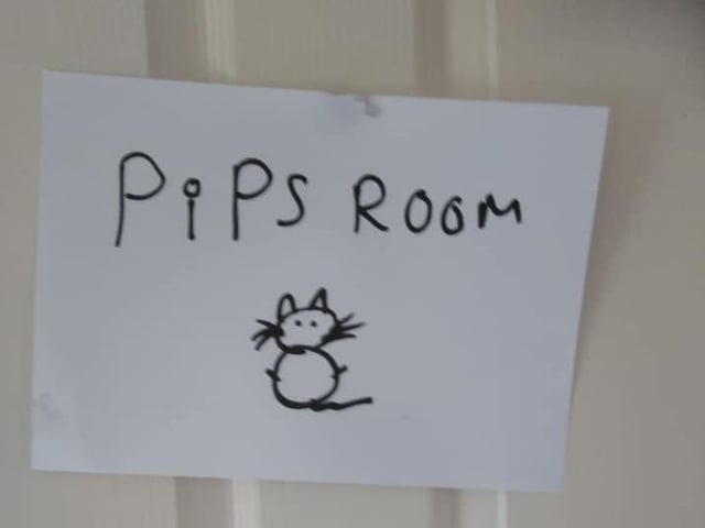 Poppy-Scarlett Lucas said: "My dad sent me this picture of my bedroom door (I've temporarily moved into a different household for shielding) so apparently its the cats room now."