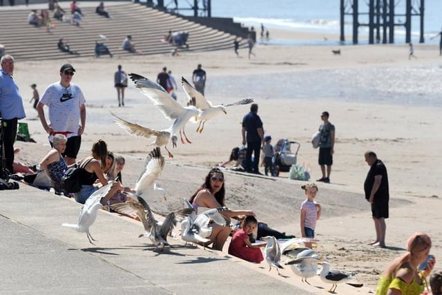 The seagulls seem to appreciate the company (and food) too
