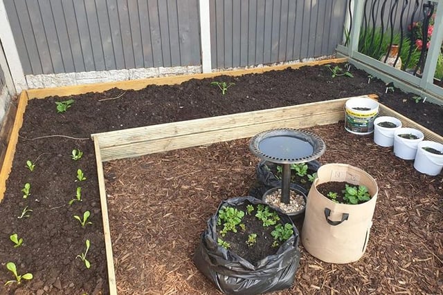 Lynsey Green has used old decking to create a little veg plot and raised beds