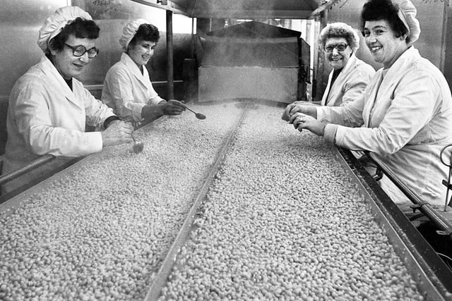 Ladies on the bean belt in the Heinz Kitt Green factory in November 1979