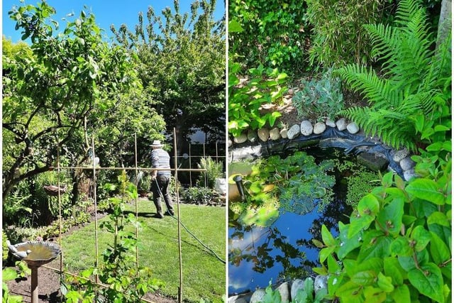 We're jealous of Kim Albrighton's idyllic garden.