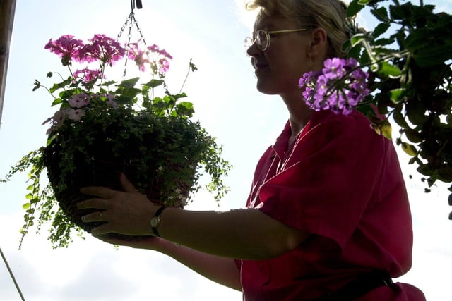Hanna Hart from the Ribblesdale Nursery, tending to her hanging baskets during the Flower Fair at Moor Park in Preston in 2000