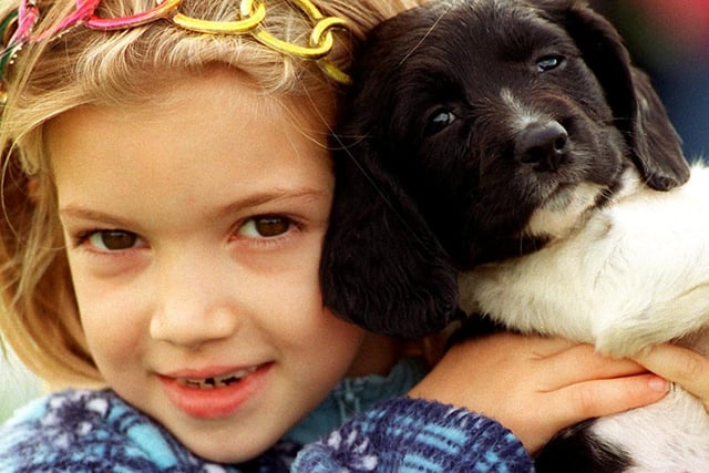 Seven-year-old Jennifer Warne meets a springer puppy from Docker Park Farm during the Preston Flower Fair and Family Fun Day at Moor Park, Preston in 1997
