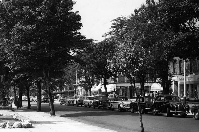 By the 1960s the walls and private gardens had long since disappeared to make way for shops, but Wood Street remained just as leafy.