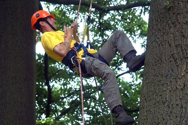 Kirkham tree climber Eric Innes in action at the North West of England Tree Climbing competition in Worden Park, Leyland