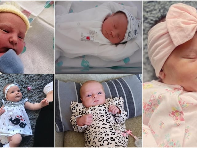 Adorable babies!