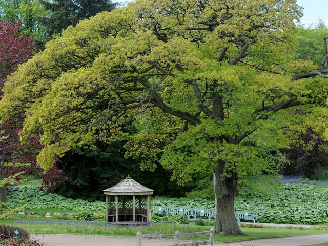 RJS Harlow Carr in Harrogate is open now. All visitors must pre-book tickets