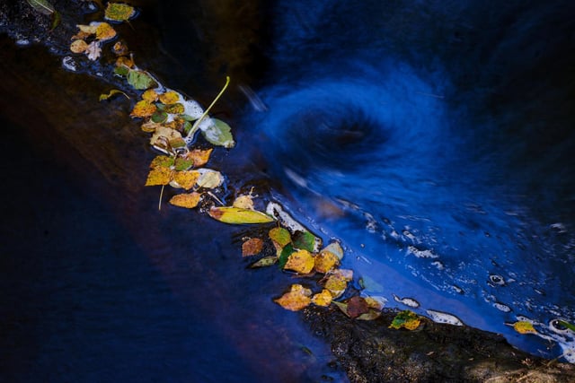 A mini whirlpool and fallen leaves in a beck near Dalby Forest