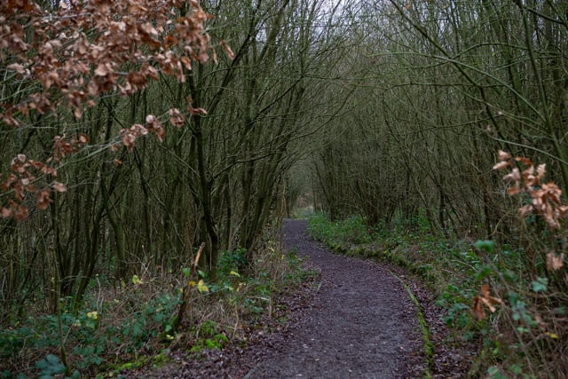 Take in the wonderful surroundings and beautiful wildlife at Cromwell Bottom. The area is mainly woodland with a really good network of paths. There is also a wheelchair and pushchair accessible route.