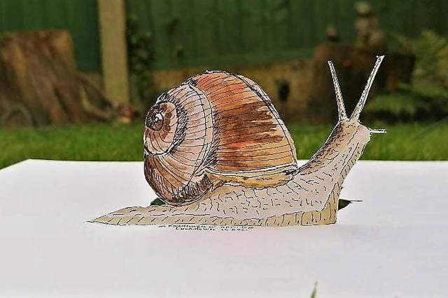 A pop up snail created by Blackpool artist David Sullivan - he now as more than 700 in his lockdown collection.