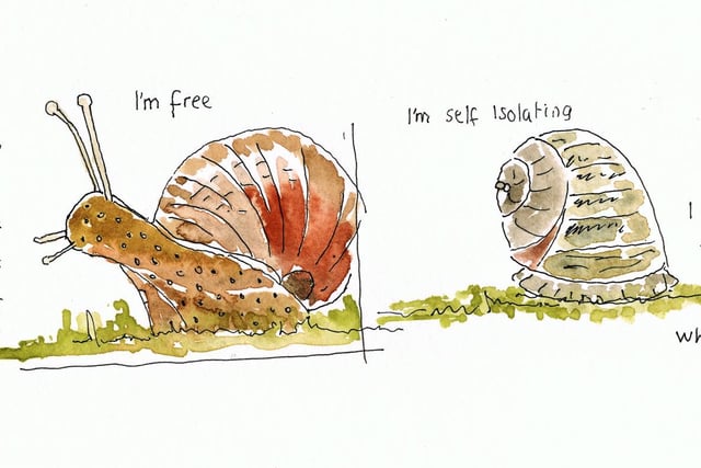 Snails in self-isolation, David Sullivan says he is considering putting a book together of his lockdown art project.