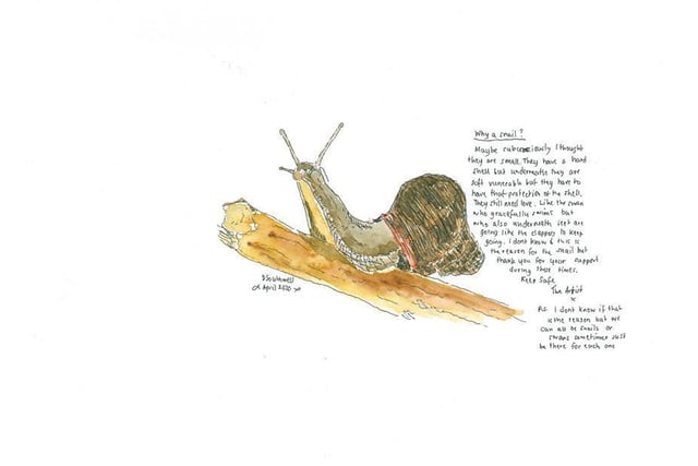 David Sullivan says there is no logic behind his idea behind his snail drawings but added this short explanation on one of his paintings.