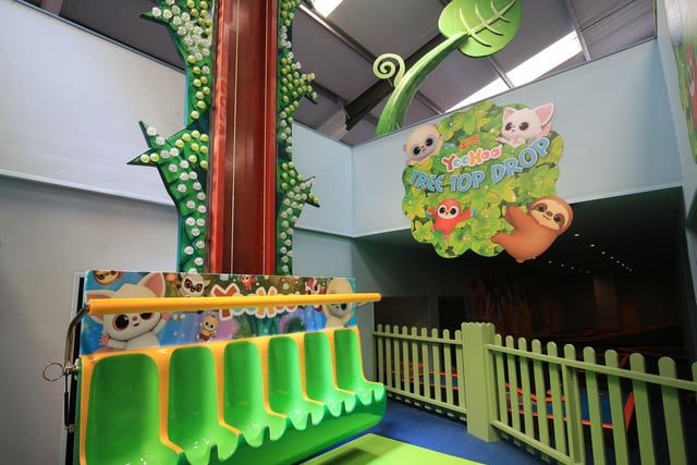 The Tree Top Drop ride is great for younger children wanting a bit of excitement.