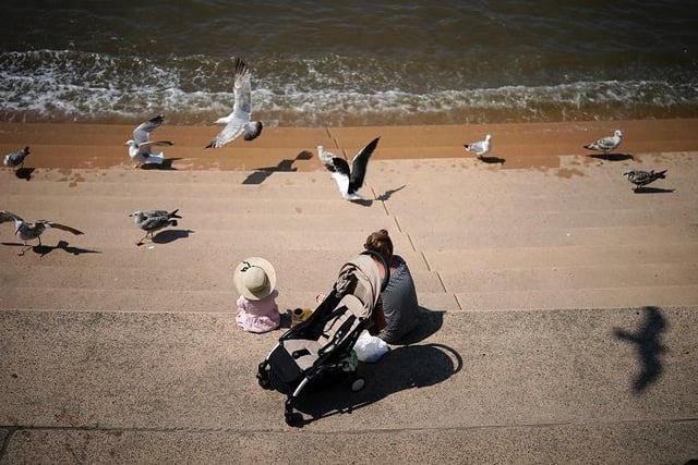 Feeding the seagulls on Blackpool front