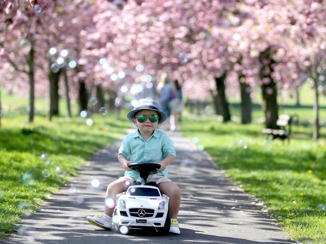 Harrogate is second cheapest in Yorkshire, with an average cost of 353.