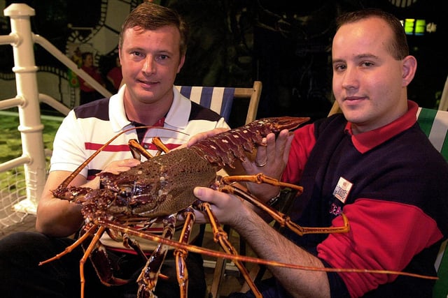 Nelson the crawfish, caught by Russell Smith (left) from the Trafalgar restaurant, was spared from the dinner plates due to his exceptional size