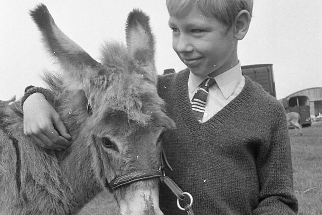 Andrew Middleton of Ribbleton Avenue, Preston, makes friends with Jamie the six-weeks-old baby donkey at the Blackpool Horse Show