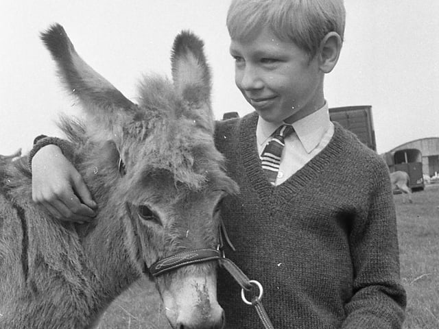 Andrew Middleton of Ribbleton Avenue, Preston, makes friends with Jamie the six-weeks-old baby donkey at the Blackpool Horse Show
