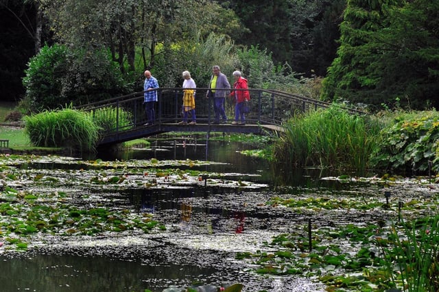 Burnby Hall Gardens, near Pocklington, are home to a nationally significant water lily collection. There are also aviaries, an Edwardian summerhouse, rockeries, a giant tree stump and numerous bird species.