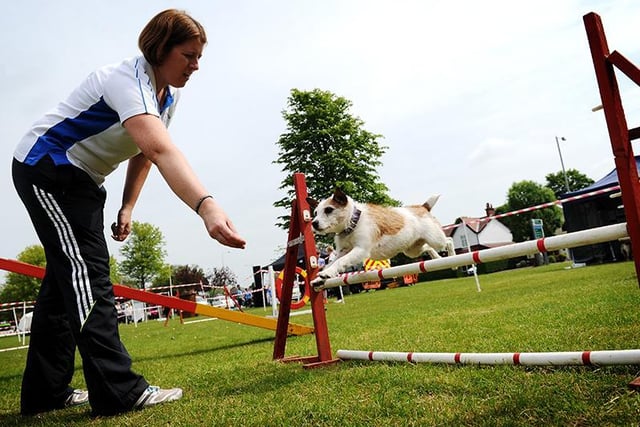 Sarah Sharples from Blackburn with her Jack Russell, Bracken on the agility course