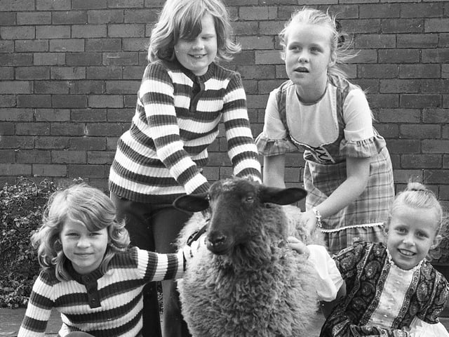 Peggy the lamb would like to carry the flag in a Preston Guild processions - just like the lamb on the town's coat of arms. But the corporation is far from enthusiastic. Peggy is pictured here with her friends Karen, Alison, Jane and Anne from Elswick