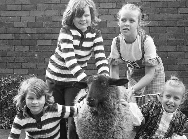 Peggy the lamb would like to carry the flag in a Preston Guild processions - just like the lamb on the town's coat of arms. But the corporation is far from enthusiastic. Peggy is pictured here with her friends Karen, Alison, Jane and Anne from Elswick