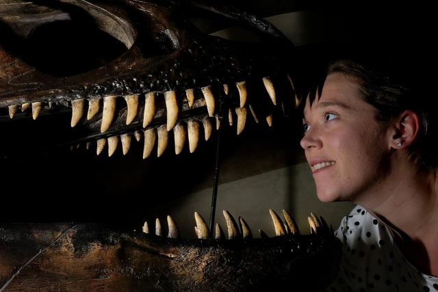 Charlotte Mundey gets up close and personal to an Allasaurus