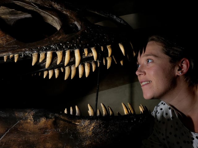 Charlotte Mundey gets up close and personal to an Allasaurus
