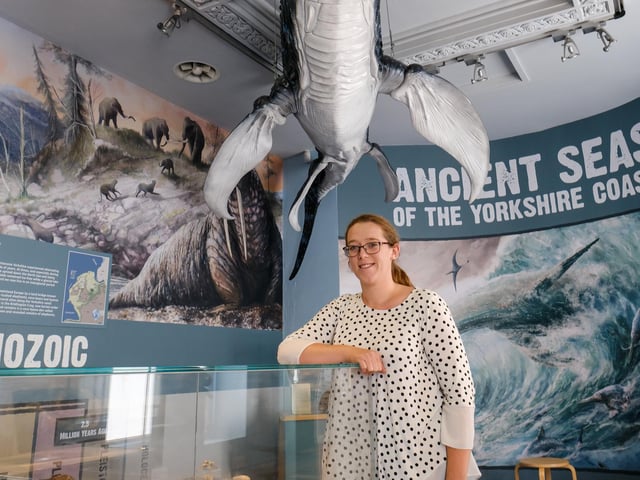 Ancient Seas is one of the exhibitions