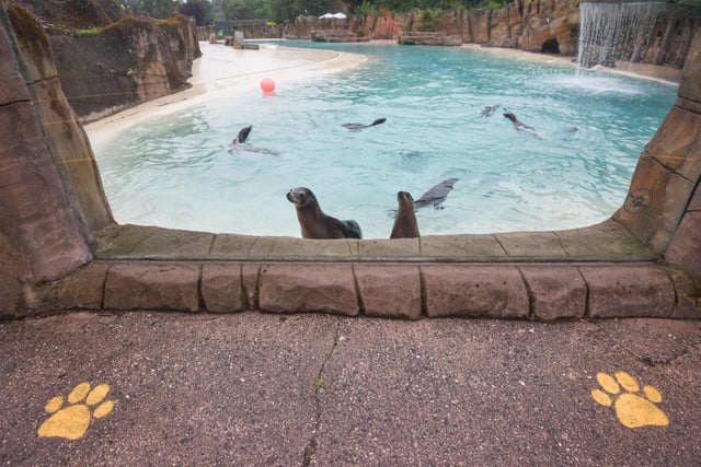Lancashire is home to one of the best zoos in the country. Blackpool Zoo hasmore than 1500 animals, cafes, play areas and mini-golf.