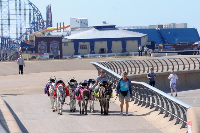 The 12 mile coastal walk from Blackpool to Fleetwood is filled with famous landmarks and attractions, including the famous piers, golden mile, comedy carpet and Marine gardens.
