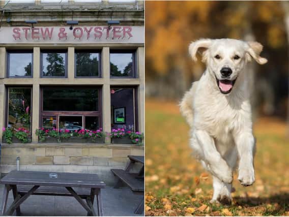 Nine dog-friendly restaurants participating in the Eat Out to Help Out scheme
