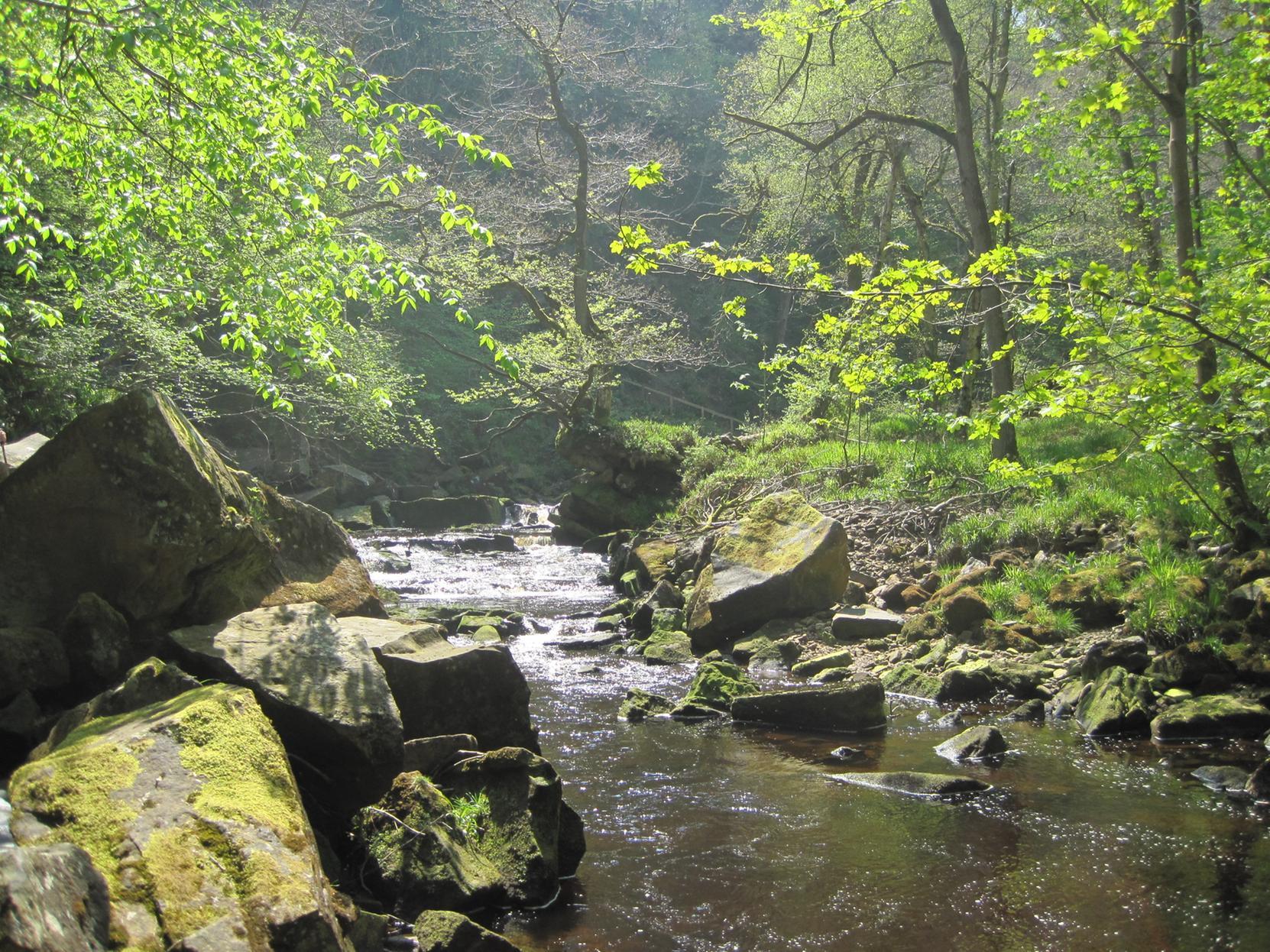 This walk starts from the village of Goathland which featured in the TV series 'Heartbeat. It explores the village and onto Mallyan Spout waterfall before continuing on to Beck Hole and back to the village.
Length - 3.0 miles / 4.9 km
Time - 2 hours 0 minutes