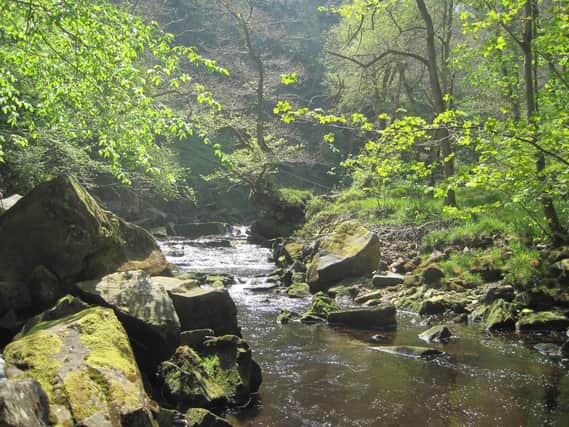 This walk starts from the village of Goathland which featured in the TV series 'Heartbeat. It explores the village and onto Mallyan Spout waterfall before continuing on to Beck Hole and back to the village.
Length - 3.0 miles / 4.9 km
Time - 2 hours 0 minutes