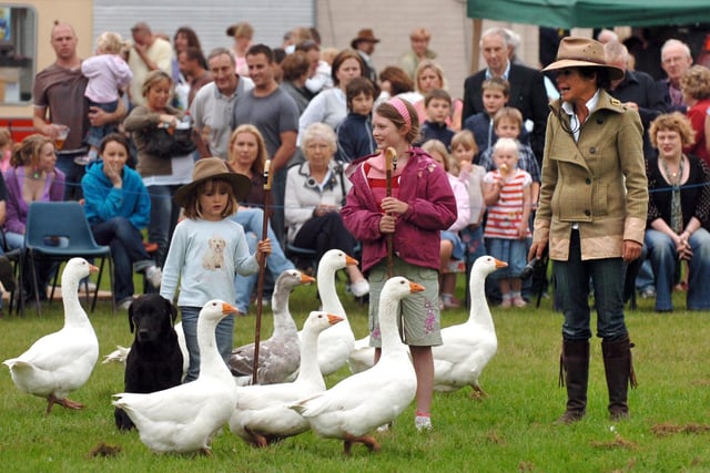 Katy Cropper the only woman to win 'One Man and His Dog' herds geese