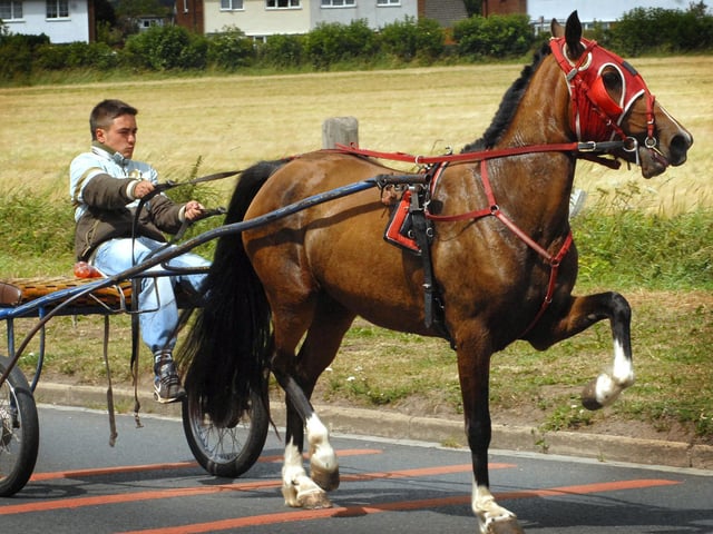Trotting along Seamer Road near the Seamer Horse Fair site.