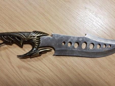 This 8-inch blade was seized from a 23-year-old man after police stopped an uninsured car in Walton-le-Dale at 4.25am on December 6, 2018