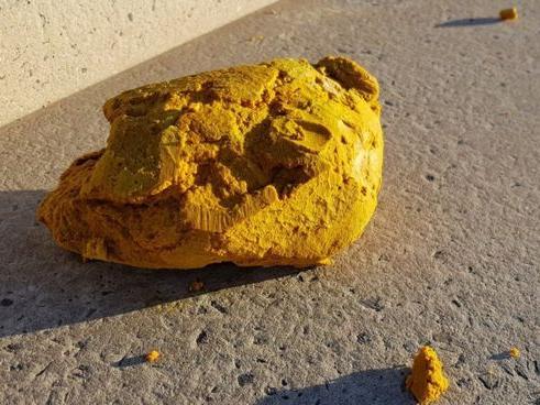 Large yellow blobs of palm oil washed up on the Lancashire coastline in 2017. The "rancid smelling" fatty substance, weighing about one tonne, was found on beaches at Cleveleys, Fleetwood, Knott End and St Annes, Wyre Council said.

According to Vets Now, palm oil is not poisonous to dogs, but it does have a laxative effect and, if eaten, can cause sickness, diarrhoea, dehydration and, in extreme cases, pancreatitis.

Vets Now said palm oil can also be dangerous to dogs because it can contain other toxic products mixed in it, such as diesel oil from ships.